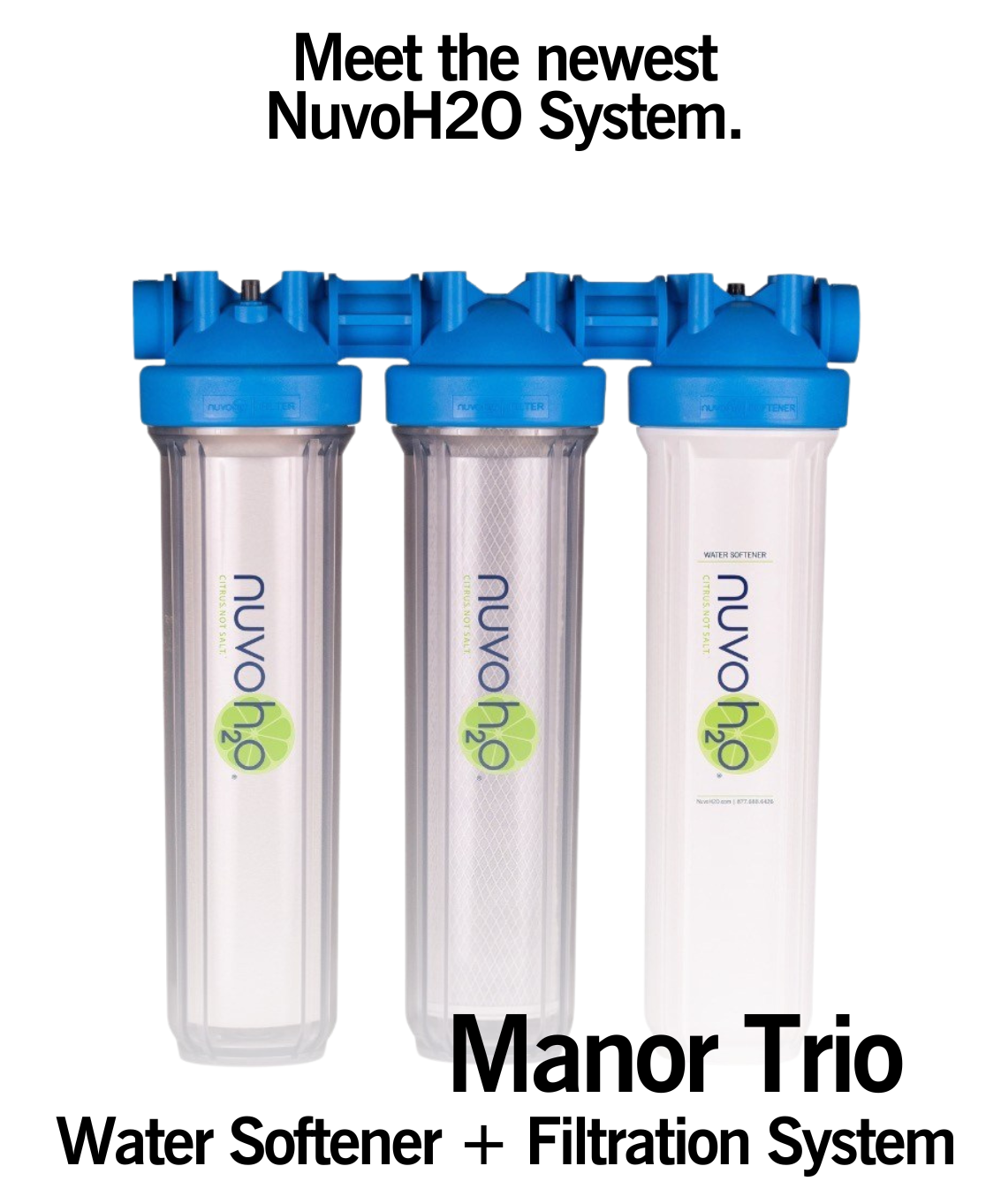 Meet The New Nuvo Manor Trio Bulls I Sales